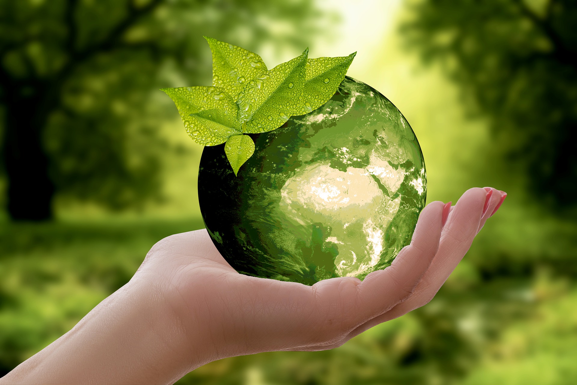 Eine Hand hält eine grüne Weltkugel mit taubedeckten Blättern